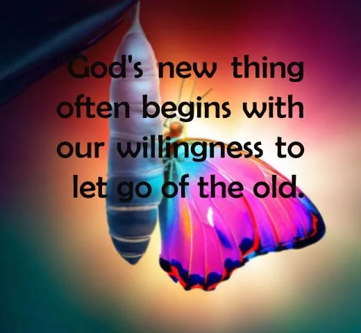 new_things